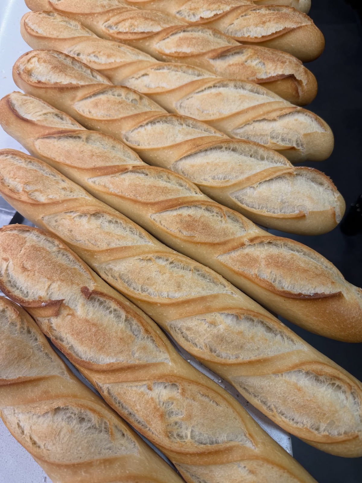 Baguettes tradition alignées à la sortie du four