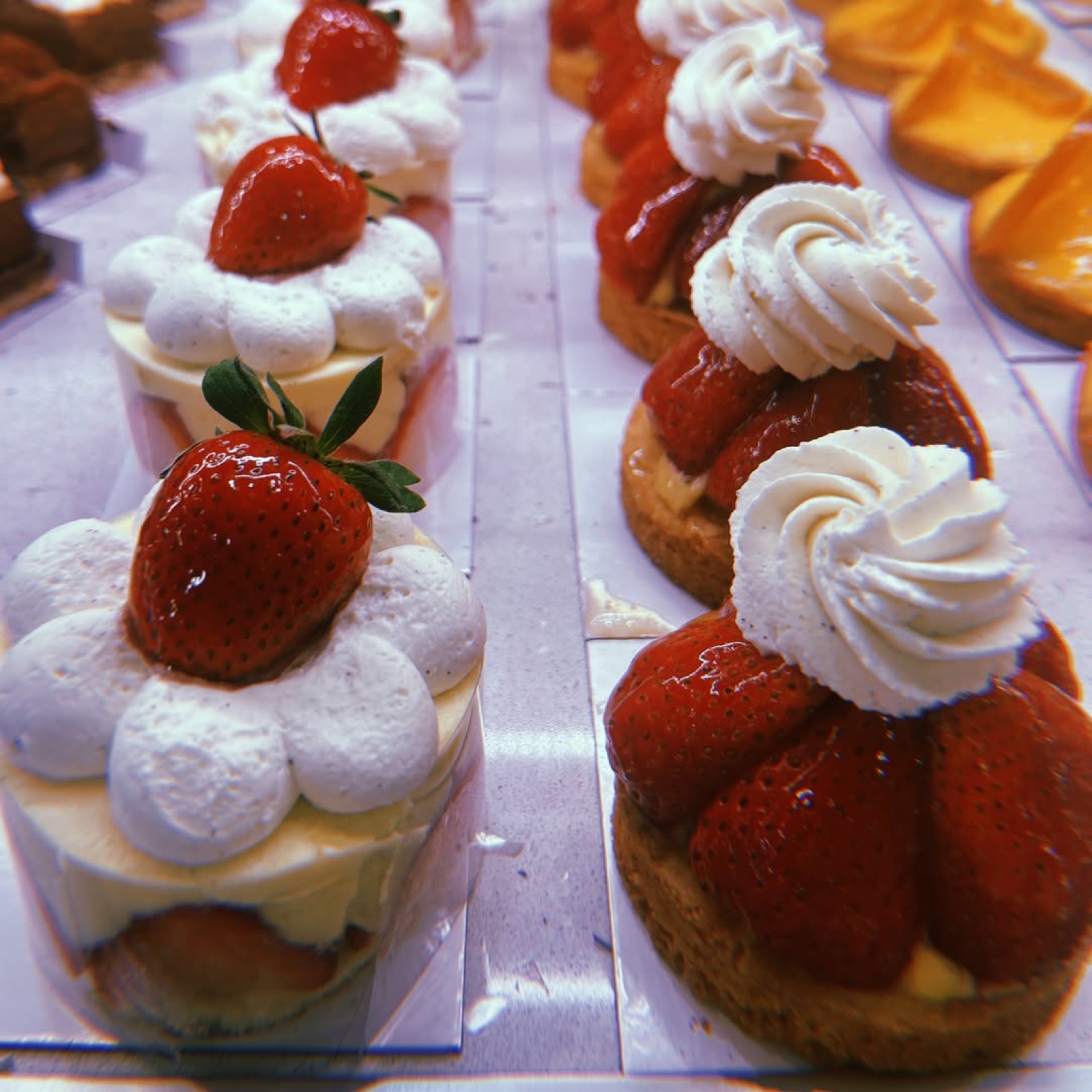 Fraisiers et tartelettes aux fraises et chantilly, alignés en vitrine