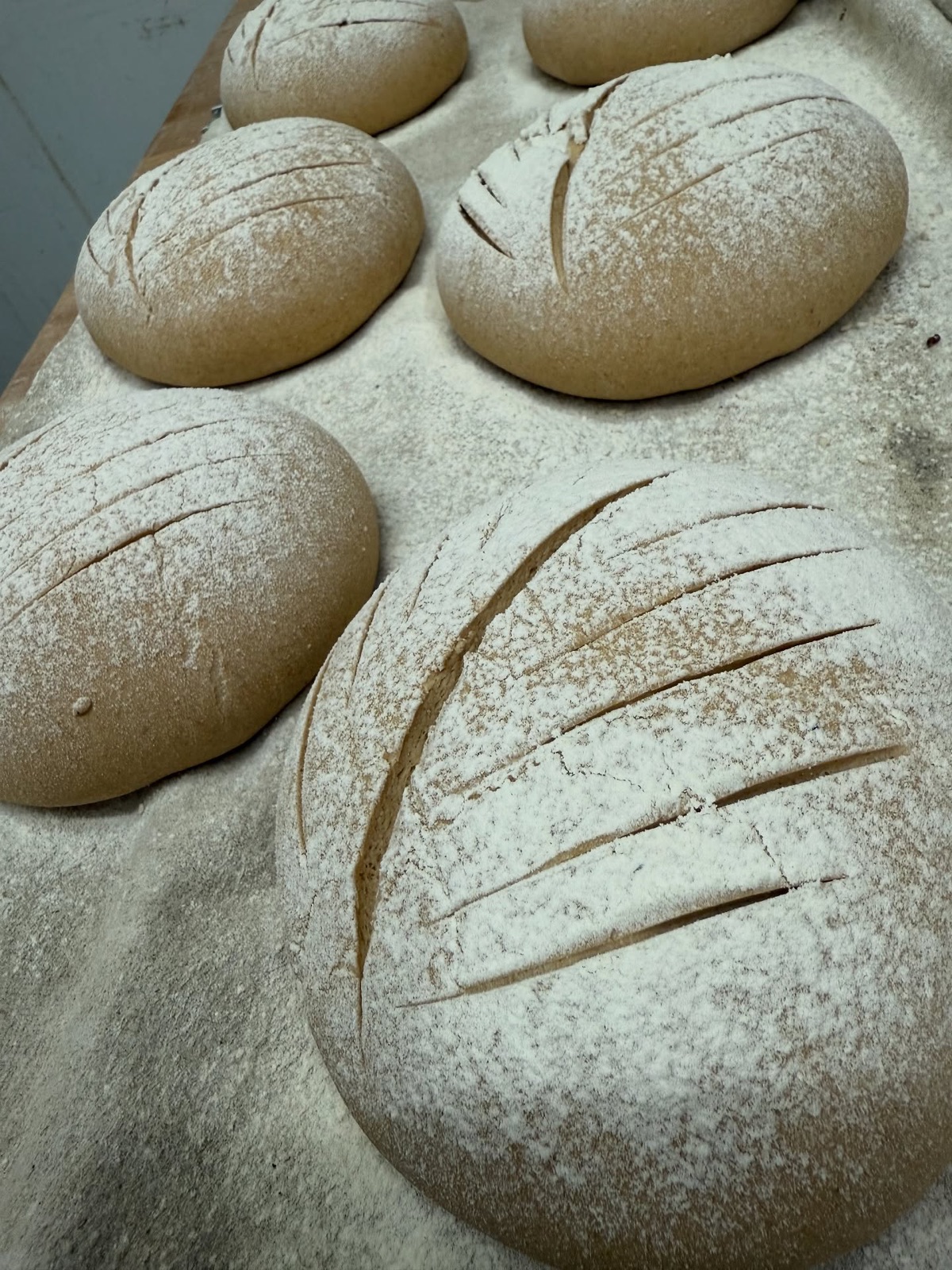 Boules de pain rustiques farinées, à la sortie du fournil
